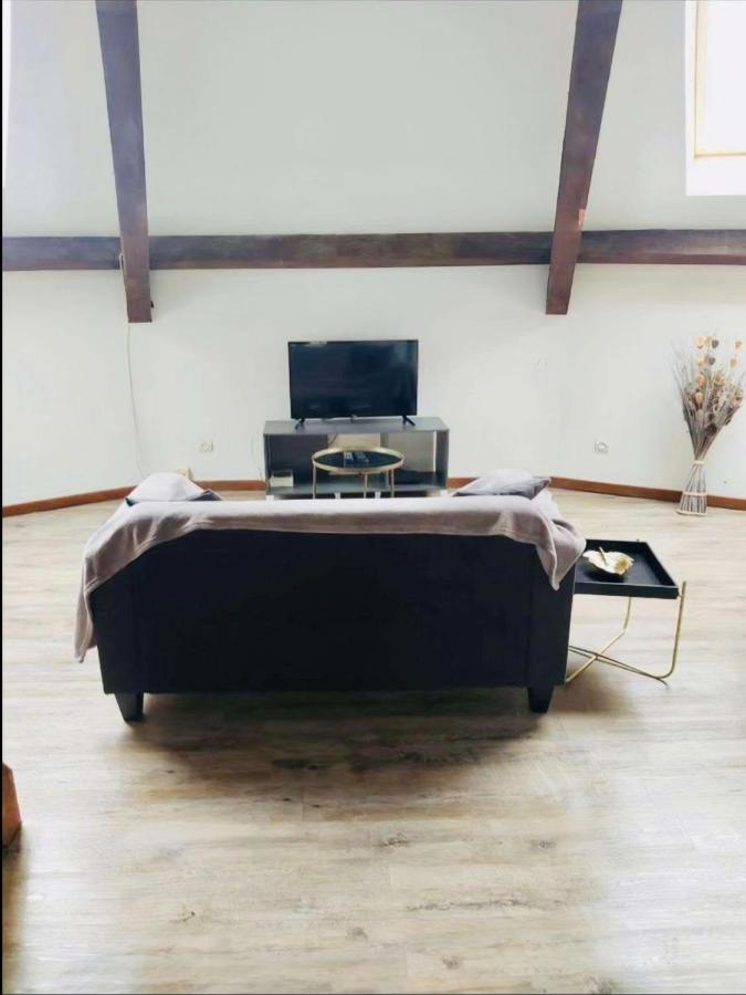 Superbe Appartement Cocooning Proche Des Thermes Vittel Buitenkant foto